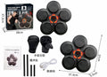 Intelligent Music Boxing Target with Bluetooth and Light Up Pads