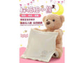 Peek a Boo Singing Teddy Bear